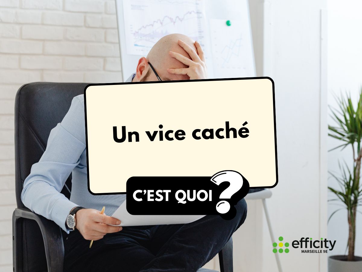 Vice caché immobilier à Marseille